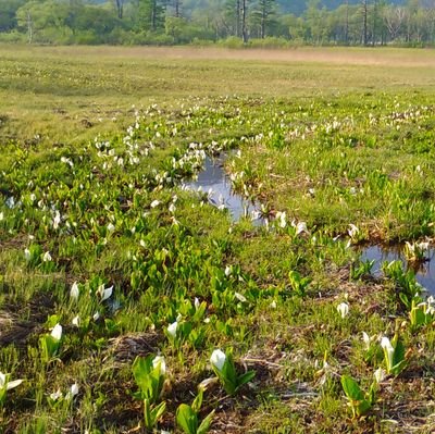 7e5a7oDVYxRIDc4's profile picture. 特に何も無いただの茨城県民
別に若くもないしイケメンでもない
猫が好きかも、飼ってないけど
（ゲーム用垢と分かれました）