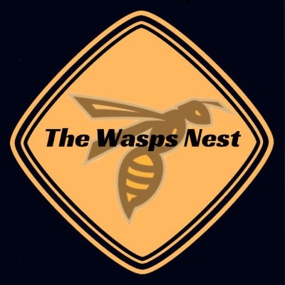 The Wasps Nest Podcast - Alloa Athletic