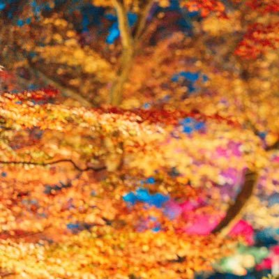 chikwcn's profile picture. 