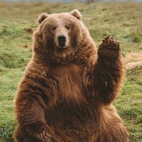 MAGApappabear (@magapappabear) 's Twitter Profile Photo MAGApappabear (@magapappabear) 's Twitter Profile Photo