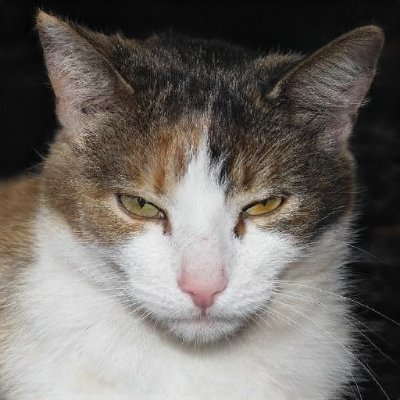 LaurieRainbow6's profile picture. 鸟舍
,Old man, did you represent the whole of Japan when you were most honored? And I am now.,房地产