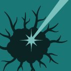 Onco_MDPI (@mdpionco) 's Twitter Profile