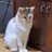 野口雅祐のアイコン