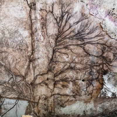 BeatsPerVerse's profile picture. 