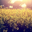 Bee Tan - @WeeWang11 - Twitter