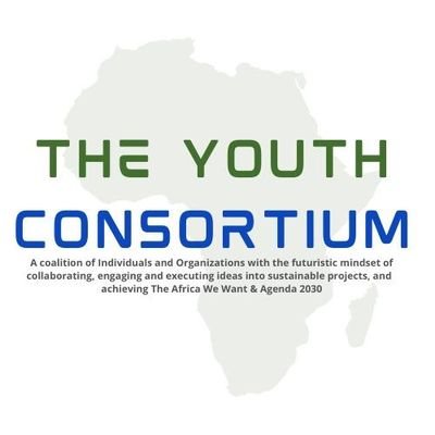 The Youth Consortium