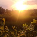 Paula Tomas - @PaulaTo12993036 - Twitter