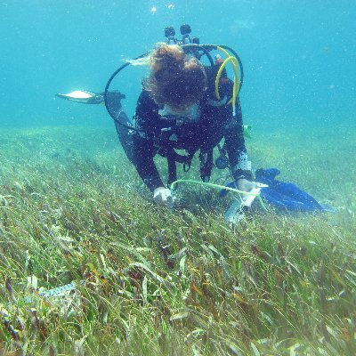 F_Kerninon's profile picture. Postdoc, LEMAR