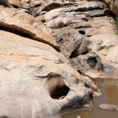 alexmnyambu's profile picture. 