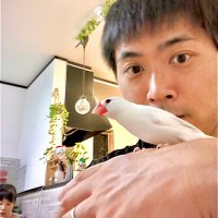Takepepe (@takepepe) 's Twitter Profile