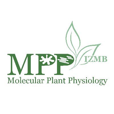 In the Department of Molecular Plant Physiology, University of Bonn, we are interested in the evolution and regulation of plant metabolic process.