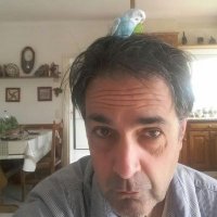 Vicenç Pagès Jordà (@whistplayers) 's Twitter Profile Photo