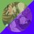 chifujisucci's profile image