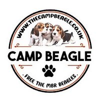 Camp Beagle Outreach North East 🐶💔(@CampBeagleNE) 's Twitter Profile Photo