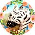 奈良のしまきり(しまうまきりん)🦓👻😈🎶 (@fashionshimauma) Twitter profile photo 奈良のしまきり(しまうまきりん)🦓👻😈🎶 (@fashionshimauma) Twitter profile photo