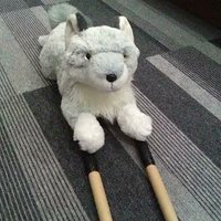 KiJi (@kijinakazuba) Twitter profile photo
