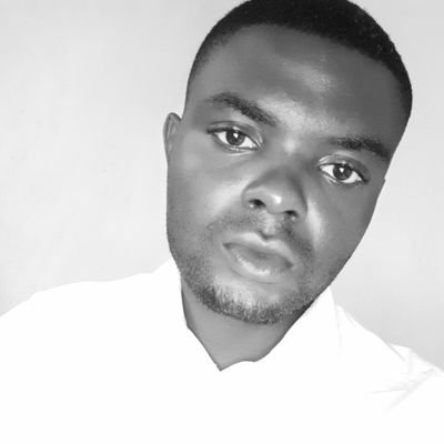 BelmonNgametam's profile picture. Comptable