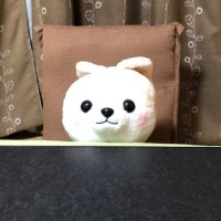 うらじみーる (@vladimir_aug95) 's Twitter Profile