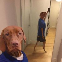 Noah1896zig (@noah1896zig) 's Twitter Profile