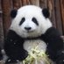 roger Wang (@wa71214644) Twitter profile photo roger Wang (@wa71214644) Twitter profile photo