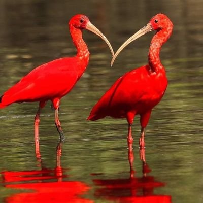 martusc1's profile picture. THEATRE CINEMA MUSIC Art SPORT AND TALENTED PEOPLE ARE MY INTERESTS!