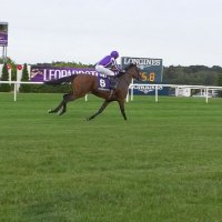 Miguel Dias (@miguel_hipismo) 's Twitter Profile Photo Miguel Dias (@miguel_hipismo) 's Twitter Profile Photo