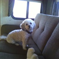 BellaDonna (@bellado04397342) 's Twitter Profile Photo BellaDonna (@bellado04397342) 's Twitter Profile Photo