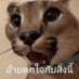 ก็แค่ลามกเอง😔 (@nineyu2003) Twitter profile photo ก็แค่ลามกเอง😔 (@nineyu2003) Twitter profile photo
