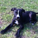 Ross Kelley - @R_Kelley2 - Twitter