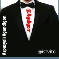 ASPASYALI AGAN DİGON (@agdigon) 's Twitter Profile