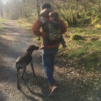 Cashew (@cashew__money) 's Twitter Profile