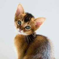 🎩 (@jb_007_cr) 's Twitter Profile