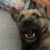 ๐พ๐๐พMeg๐พ๐๐พ (@megthebt) Twitter profile photo ๐พ๐๐พMeg๐พ๐๐พ (@megthebt) Twitter profile photo