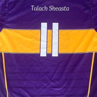 Newport GAA (@tulachsheasta1) Twitter profile photo