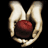 amanecercrepusc's profile picture. Toda la información de la Saga Crepúsculo. Creada por y para Fans de la saga vampírica más famosa del mundo