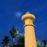 Twitçibaşı🇹🇷🦅 (@twitcibasii) Twitter profile photo