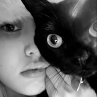 Duen (@duedil) 's Twitter Profile