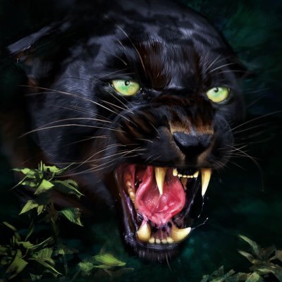 @PanthersJH