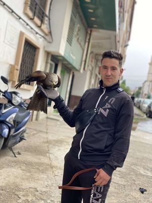 zakiydroudj's profile picture. Cool