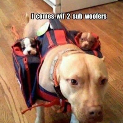 thisguy1780's profile picture. 🤷🏾‍♂️