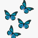 Sandra - @SandraPiceno4 - Twitter