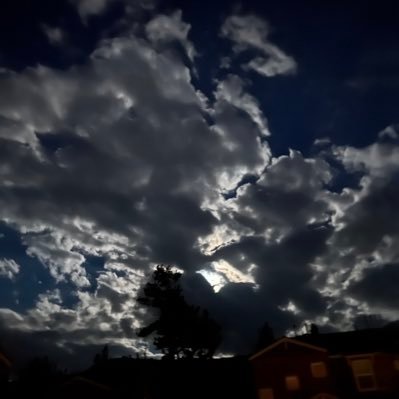 user679279's profile picture. I love myself