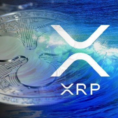 Early #Bitcoin investor, crypto trader, love ALL #crypto in for 7+ years welcome future crypto millionaires, share news + views, #xrp #eth #qnt #tel #xdc #esp