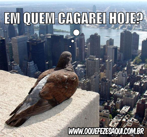 quefezes's profile picture. Se é para alardear besteira, traga a vasilha !

Sorry! We did something wrong. Try sending your Tweet again in a minute.