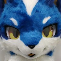 🇨🇳雪风&光电 (@snowwindfoxy) 's Twitter Profile