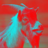 CommunistGoat(@SocialDemDavid) 's Twitter Profile Photo