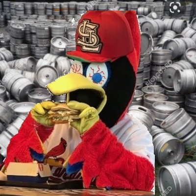I like Budweiser and when the cardinals win. Parody account, not affiliated with anyone except for Juan Sotos mom. (please like and retweet so I can feel good)
