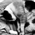 MileApo's kitty 💚🐈⬛🍒💛 (Fan Account) (@cinthiacattawin) Twitter profile photo MileApo's kitty 💚🐈⬛🍒💛 (Fan Account) (@cinthiacattawin) Twitter profile photo