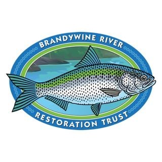 BrandywineRiverRestoration