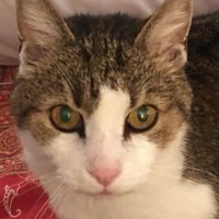 Peace Rebell 💙 🪥 C (@peacerebell) 's Twitter Profile Photo Peace Rebell 💙 🪥 C (@peacerebell) 's Twitter Profile Photo